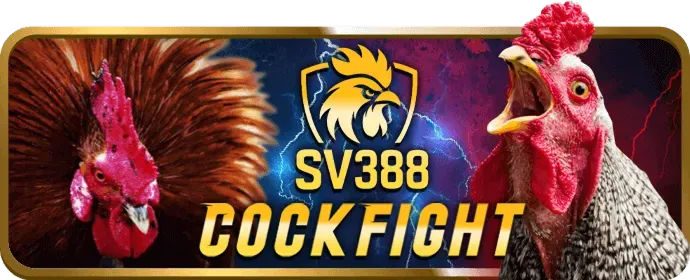 Khuyến mãi đá gà rich888